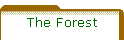 The Forest